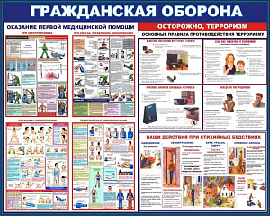 Обучение по гражданской обороне (ГО) и защиты от ЧС Уполномоченных на решение задач в области гражданской обороны не категорированных организаций. ГО и ЧС обучение 